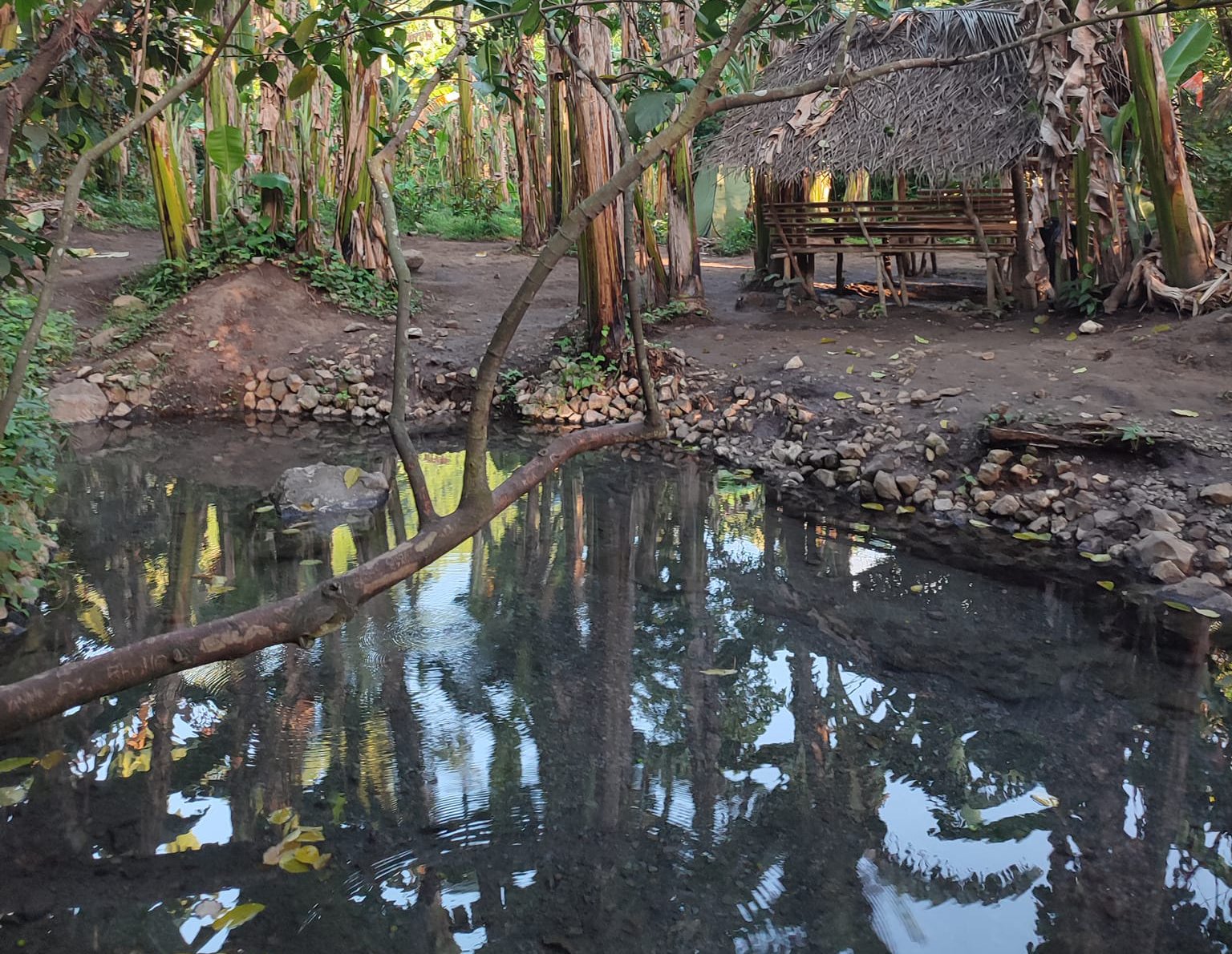 Camp Silva natural hot spring in Laguna