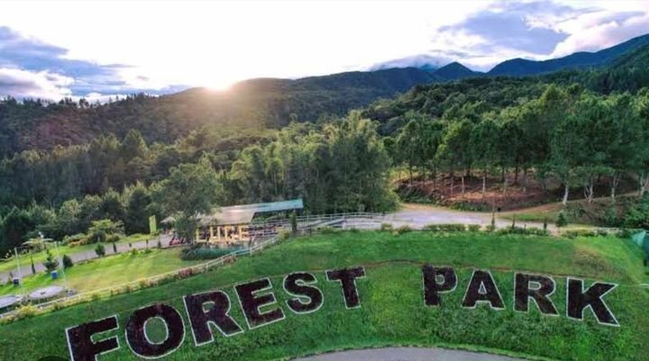 Dahilayan Forest Park in Bukidnon Resort