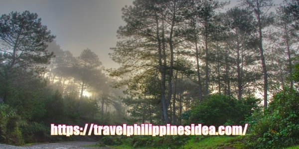 Halsema Highway / MT. Olis Philippines