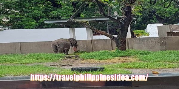 Zoological and Botanical Garden