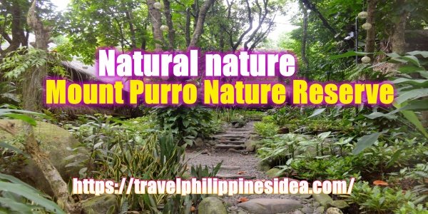 Mount Purro Nature Reserve In Antipolo